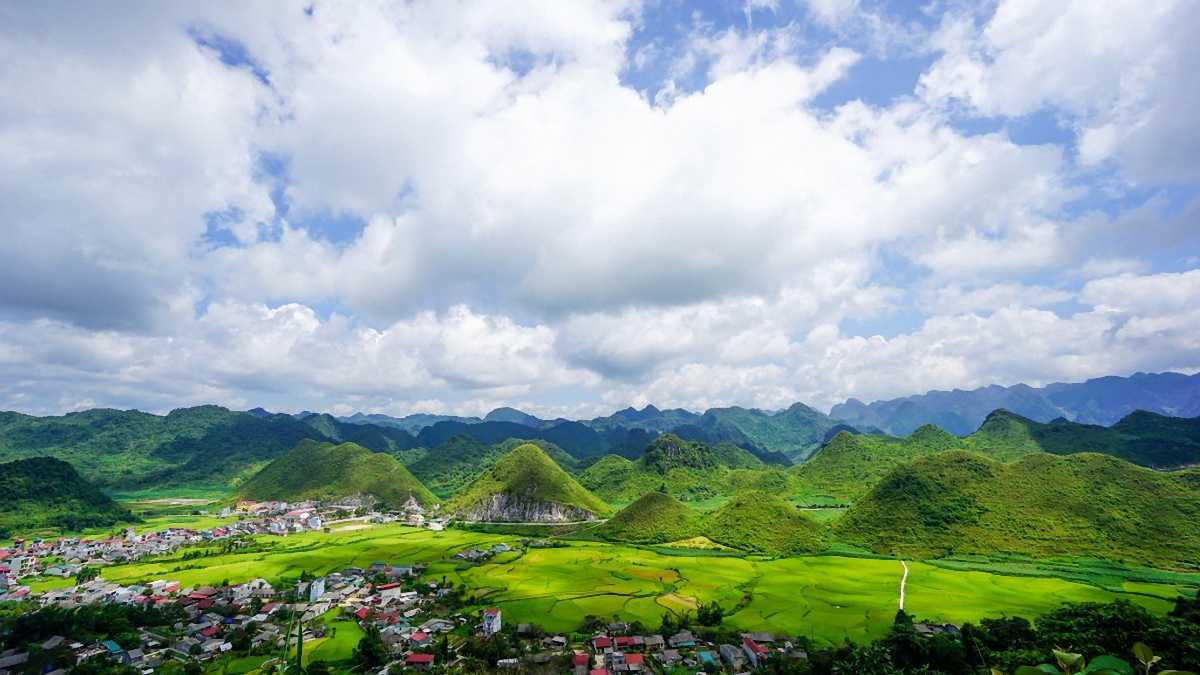 Diphu